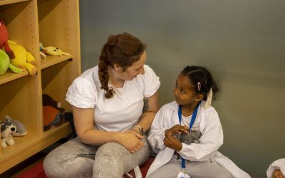 Programa Escolas (CCUL)